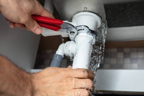 Best Professional water damage repair  in Carrollton, OH