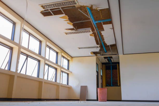 Best Sewage cleanup and water damage restoration  in Carrollton, OH