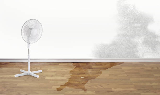 Best Emergency water damage restoration  in Carrollton, OH